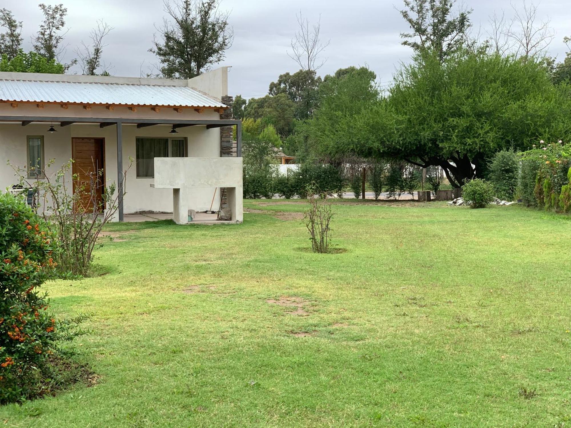 Vultur * San Rafael (Mendoza)