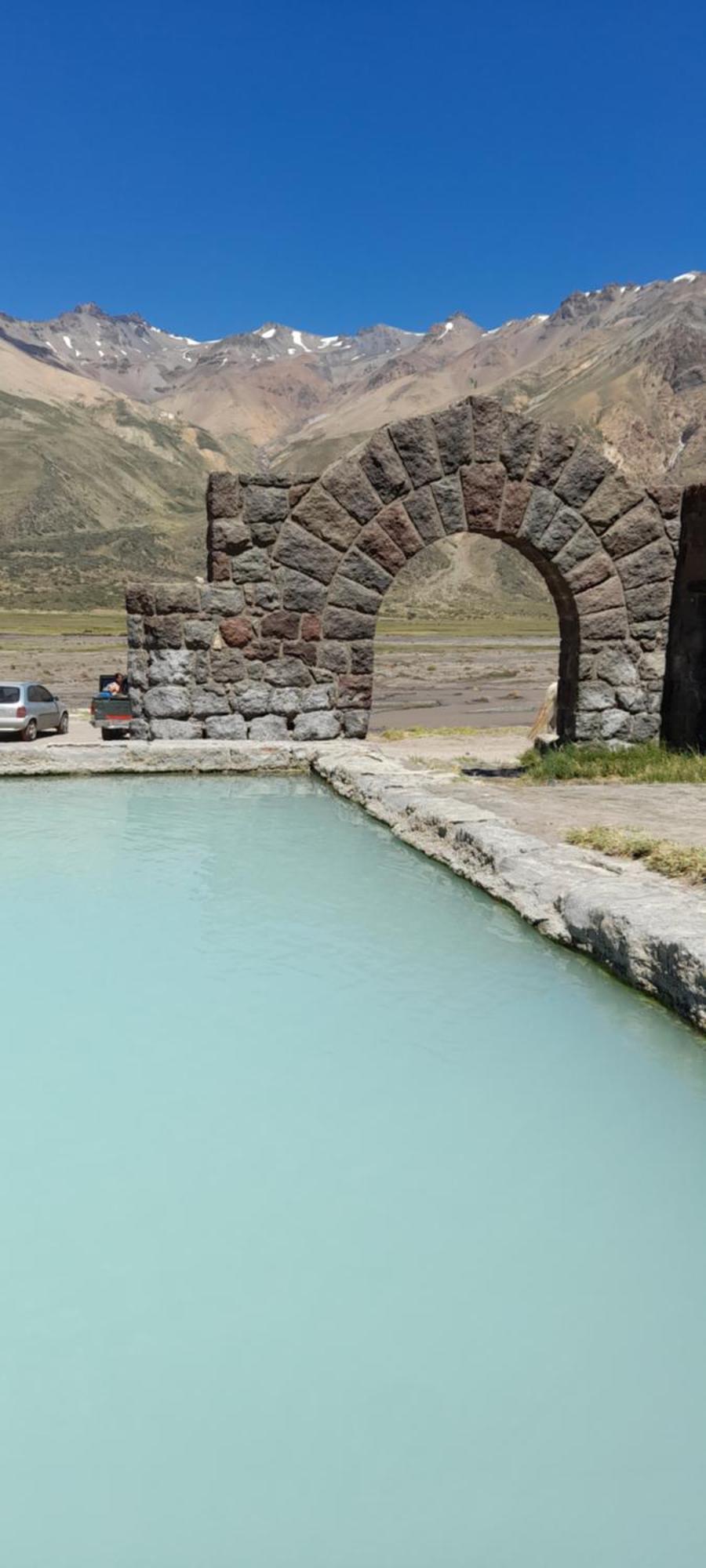 Vultur * San Rafael (Mendoza)
