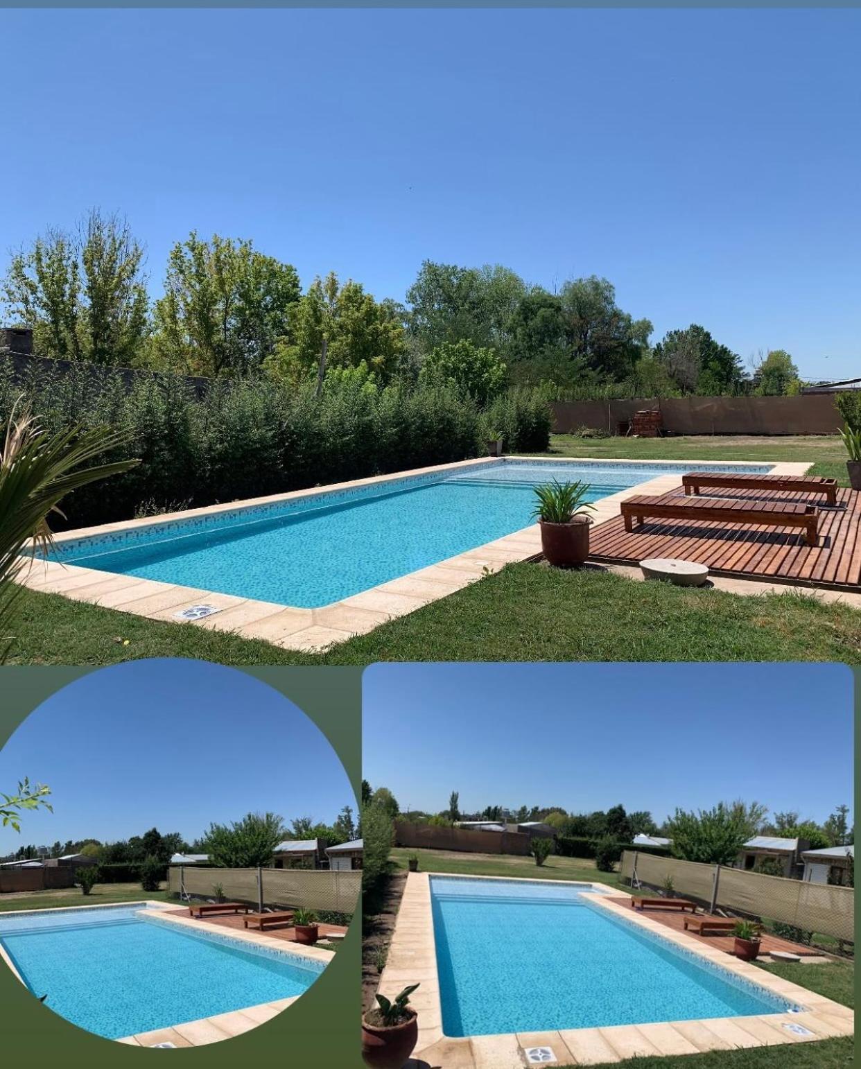 Vultur San Rafael (Mendoza)